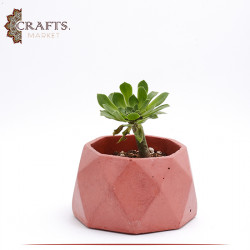 Handmade Brick Concrete Planted Octagon Pot